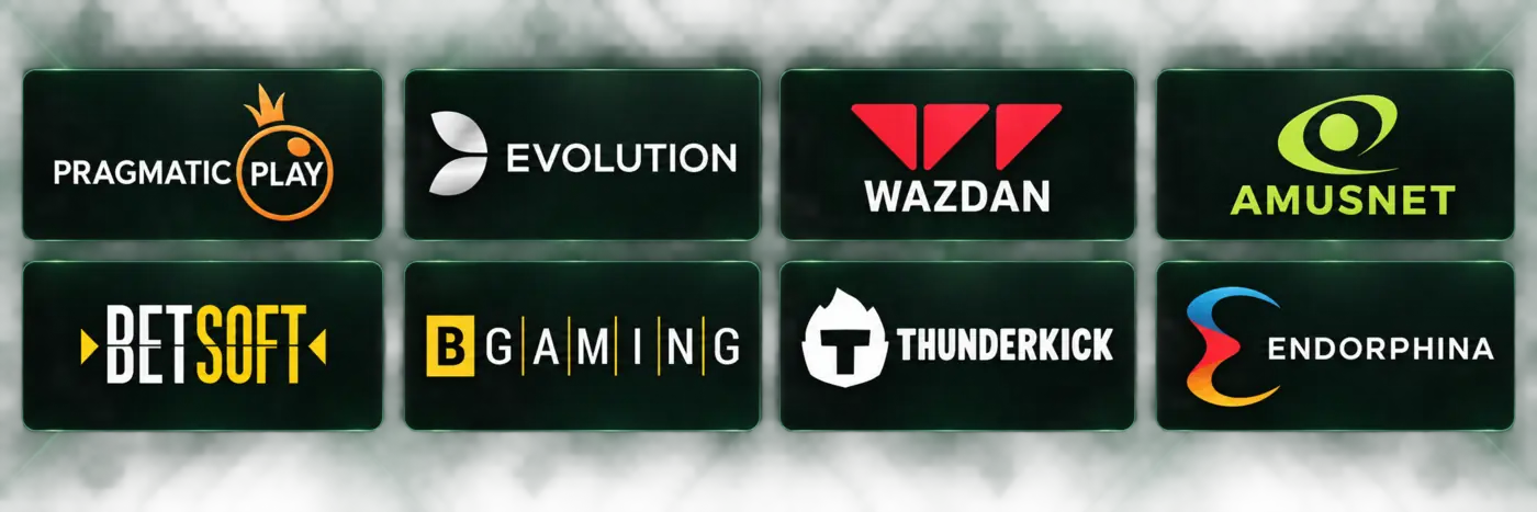 Providers